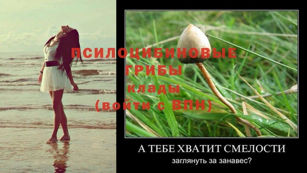 мескалин Липки
