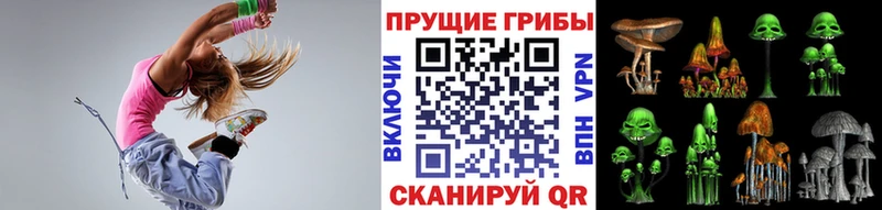 Купить где  Ершов  Галлюциногенные грибы MAGIC MUSHROOMS 