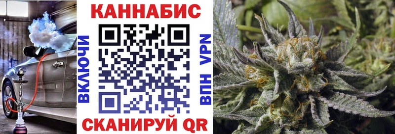 Купить где Ершов Канабис Amnesia
